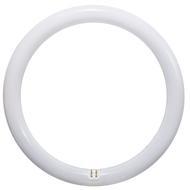 Lampadina a Led circolina G10q T9 - 19W luce naturale