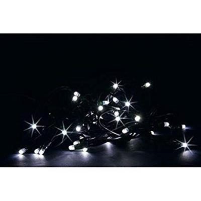 Catena luminosa professionale 40 Led prolungabile - Bianco Freddo